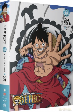 One Piece - Collection 37 [DVD]