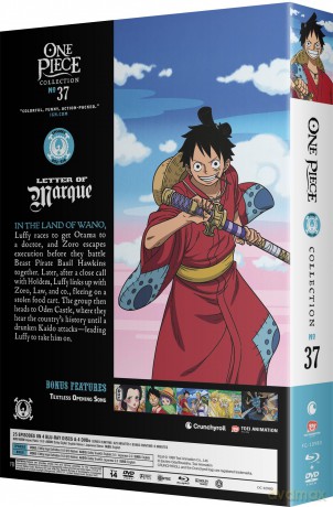 One Piece - Collection 37 [DVD]