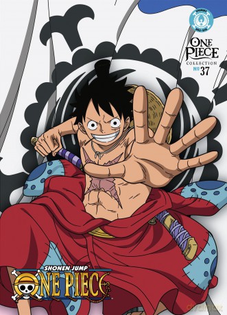 One Piece - Collection 37 [DVD]
