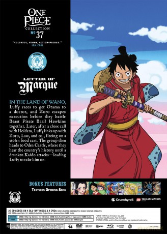 One Piece - Collection 37 [DVD]