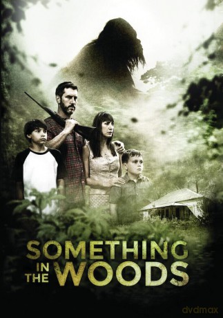 Something In The Woods [DVD]