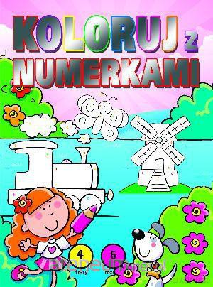 Koloruj z numerkami różowa [KSIĄŻKA]