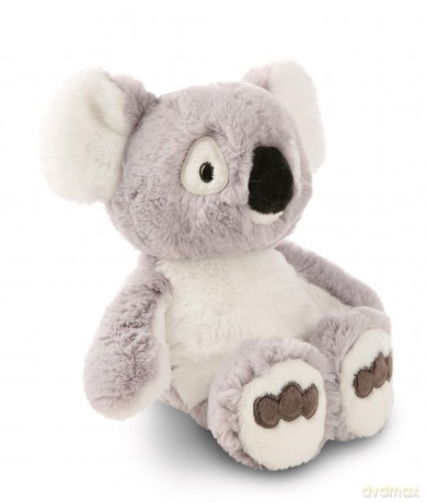 NICI Przytulanka koala Barry 25 cm
