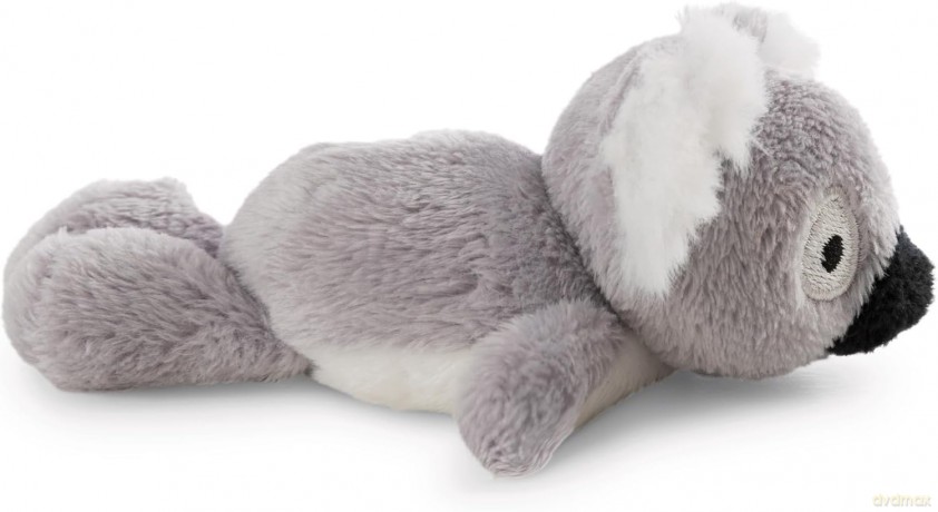 MagNICI koala Barry magnes 12 cm