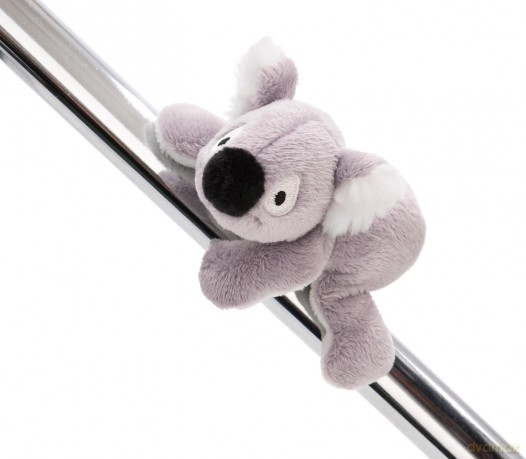 MagNICI koala Barry magnes 12 cm