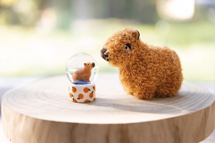 NICI Glitter globe Capybara Happybara 8pcs in display
