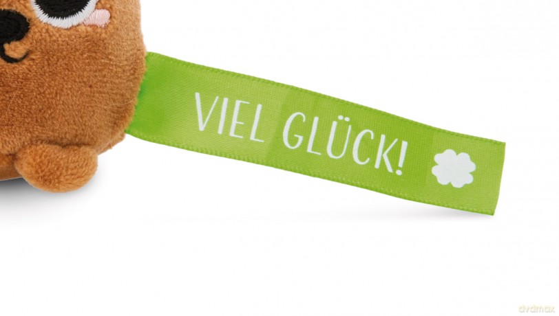 NICI wieszak/brelok na klucze miś z zieloną wstążką Viel Glück! 5 cm