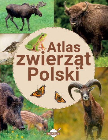 Atlas zwierząt Polski - Krzysztof Ulanowski [KSIĄŻKA]
