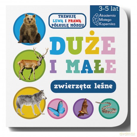 Duże i małe. Zwierzeta leśne [KSIĄŻKA]