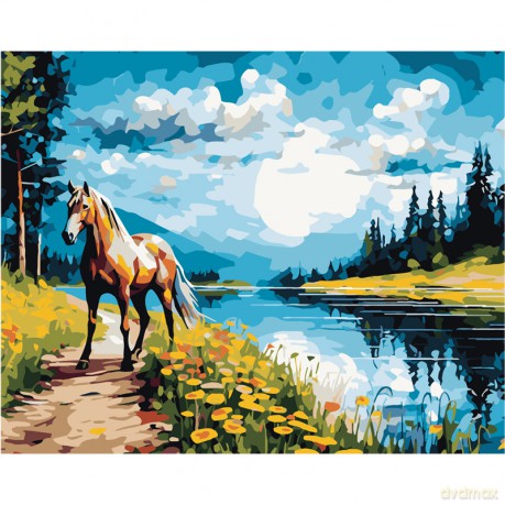 Malowanie po numerach Koń 40x50 cm