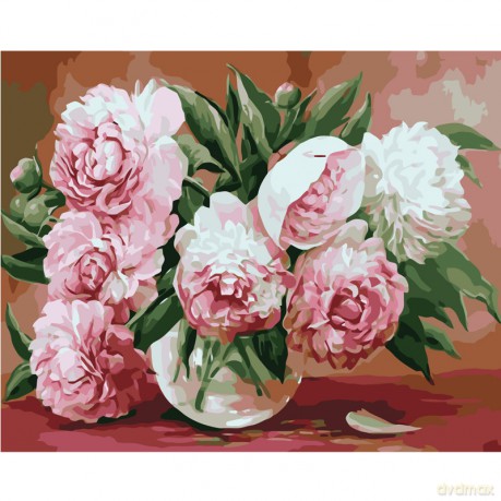 Malowanie po numerach Piwonie 40x50 cm