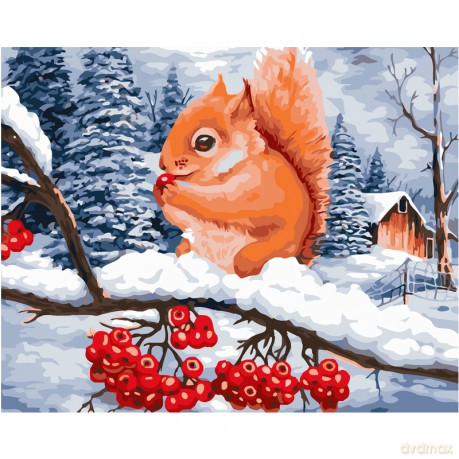 Malowanie po numerach Wiewiórka 40x50 cm