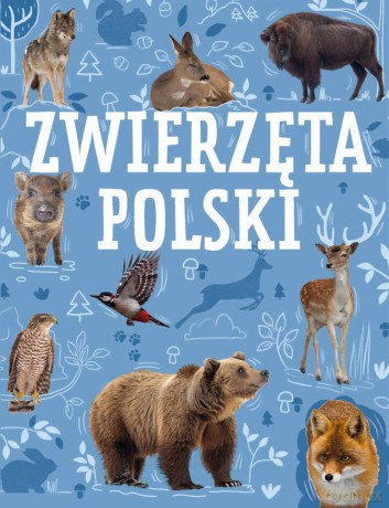 Zwierzęta Polski - Krzysztof Ulanowski [KSIĄŻKA]