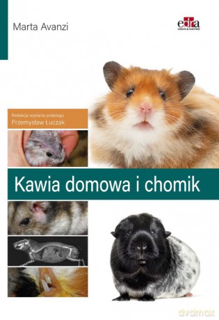 Kawia domowa i chomik - M. Avanzi [KSIĄŻKA]