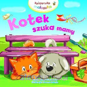 Kotek szuka mamy [KSIĄŻKA]