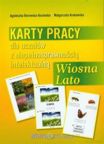 KP dla uczniów z niepełnosprawnością...Wiosna Lato [KSIĄŻKA]