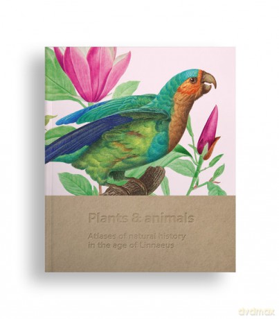 Plants and animals [KSIĄŻKA]