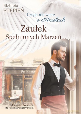 Zaułek Spełnionych Marzeń - Elżbieta Stępień [KSIĄŻKA]