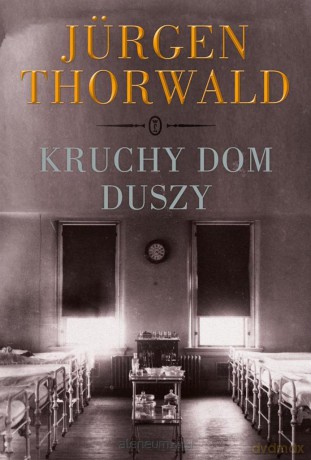 Kruchy dom duszy [KSIĄŻKA]