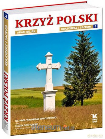 Krzyż polski cz. 3 Biały Kruk [KSIĄŻKA]