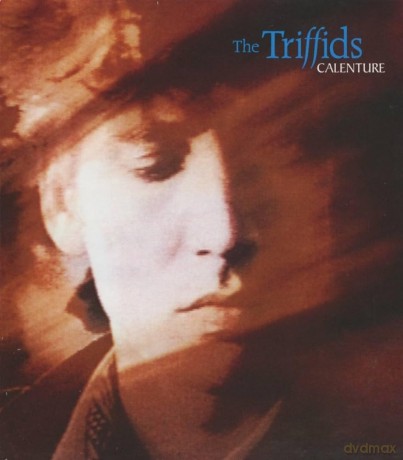 Triffids: Calenture [Winyl]