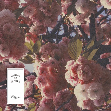 El Buho: Camino De Flores (Marble Pink) [Winyl]