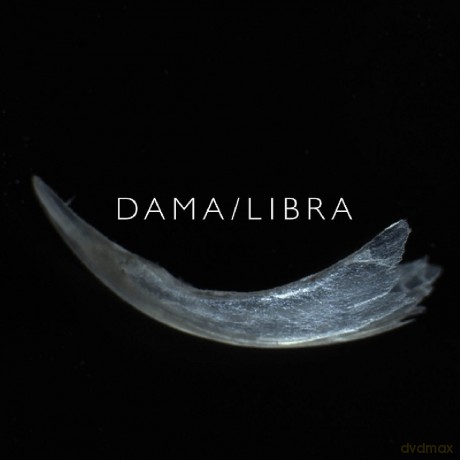 Dama/Libra: Claw [Winyl]