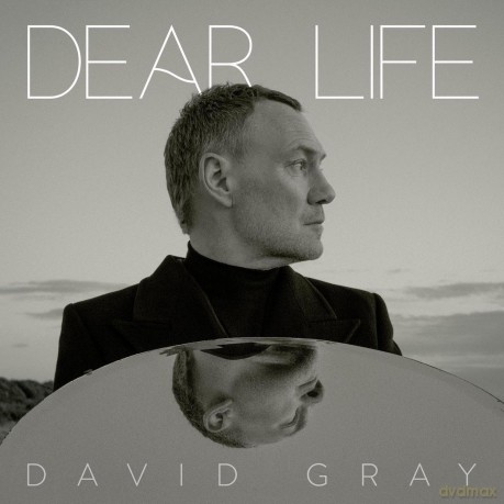 David Gray: Dear Life [2xWinyl]
