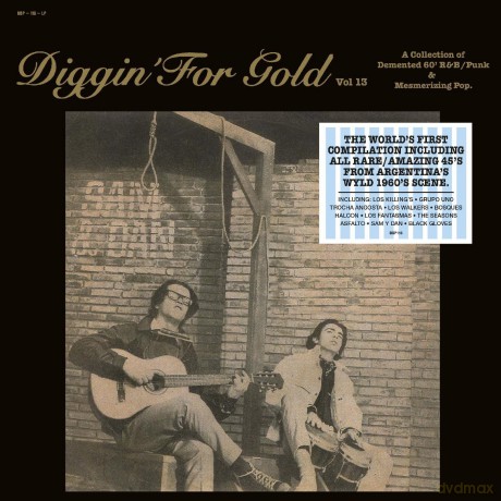 Diggin For Gold Vol. 13 [Winyl]