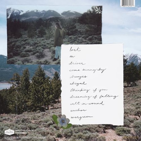 Soccer Mommy: Evergreen [Winyl]