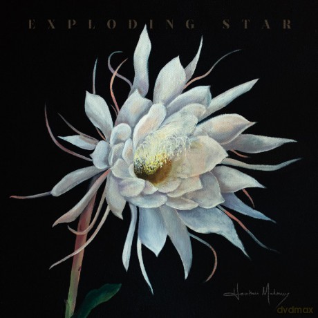 Heather Maloney: Exploding Star [Winyl]