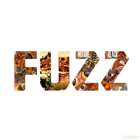 Moodie Black: Fuzz [Winyl]