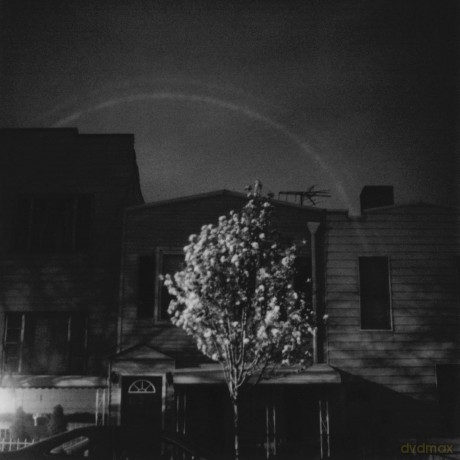 Open City: Hands In The Honey Jar (Dark Cyan/White A/B Side) [Winyl]