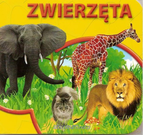 Książeczki kartonowe - Zwierzęta [KSIĄŻKA]