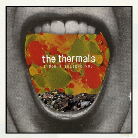 Thermals: I Dont Believe You [Winyl]