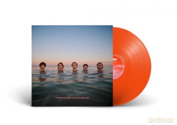 Delights: If Heaven Looks A Little Like This (Orange) [Winyl]