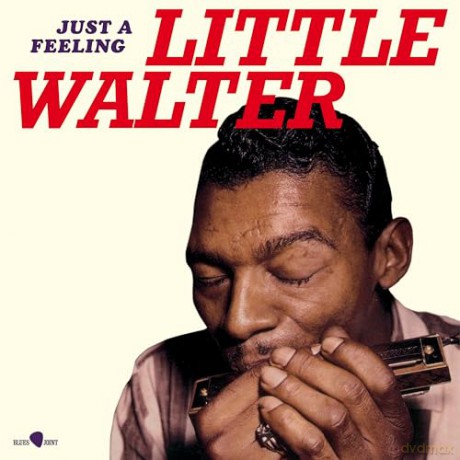 Little Walter: Just A Feeling (Limited) [Winyl]