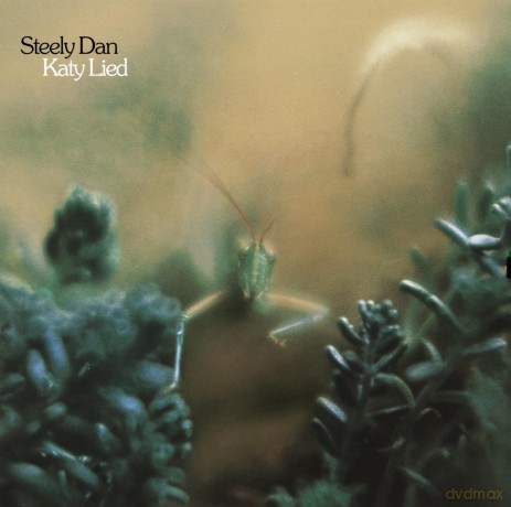 Steely Dan: Katy Lied [Winyl]