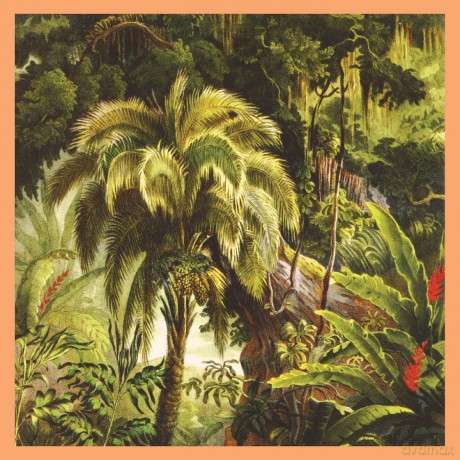 Xiu Xiu: La Foret (Sunset Swirl) [Winyl]