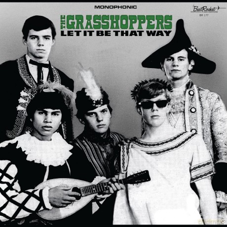 Grasshoppers: Let It Be That Way (Green) [Winyl]