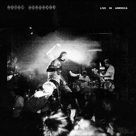 Royal Headache: Live In America [Winyl]