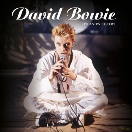 David Bowie: Liveandwell.Com [2xWinyl]