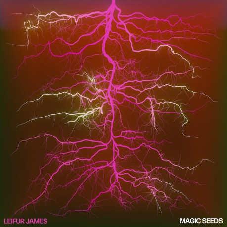 Leifur James: Magic Seeds [Winyl]