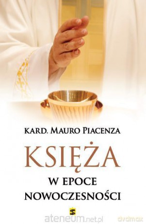 Księża w epoce nowoczesności [KSIĄŻKA]
