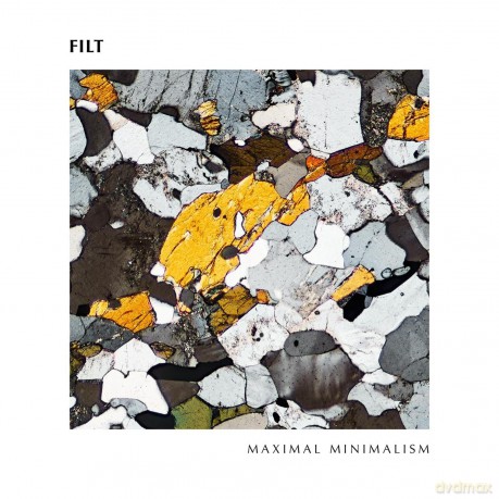 Filt: Maximal Minimalism [Winyl]