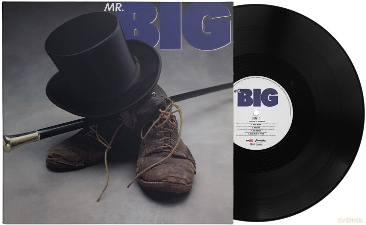 Mr. Big: Mr. Big [Winyl]