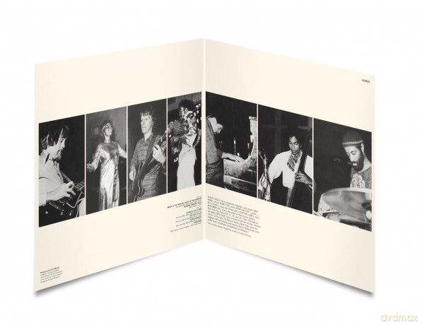 Albert Ayler: Music Is The Healing Force Of The Universe (Limited) [Winyl]
