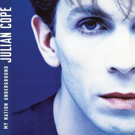 Julian Cope: My Nation Underground [Winyl]