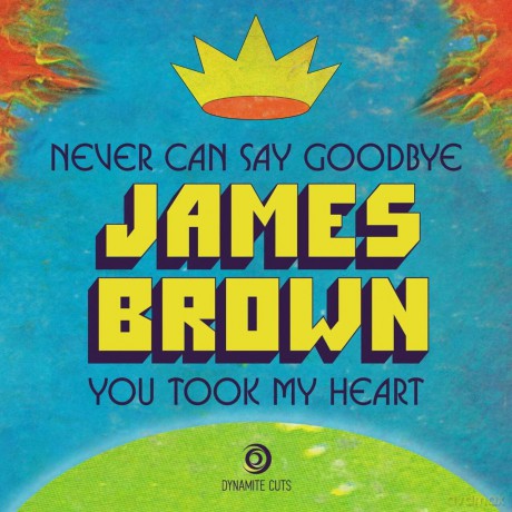James Brown: Never Can Say Goodbye [Winyl]