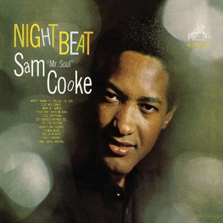 Sam Cooke: Night Beat (Blue) [Winyl]